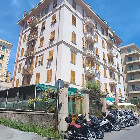 Cavallotti 7 By World