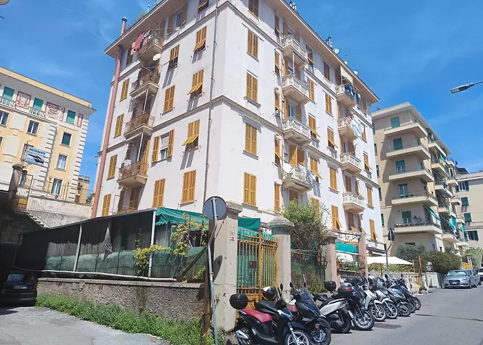 Cavallotti 7 By World