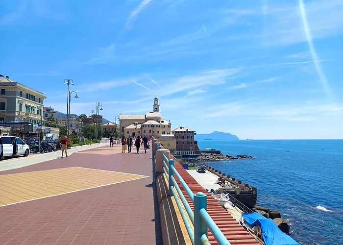 Cavallotti 7 By World