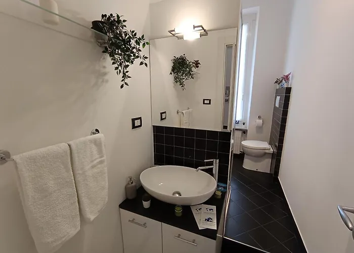 Cavallotti 7 By World *